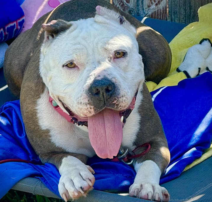 Photo of Adorable Betty
