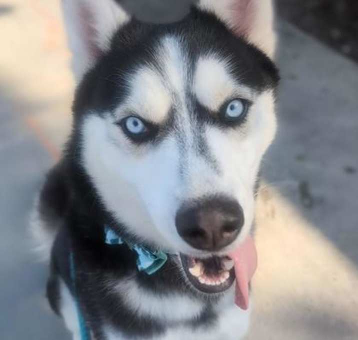 Photo of ARTHUR