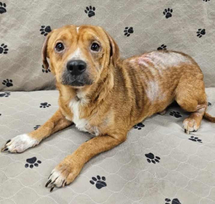 Photo of Indy