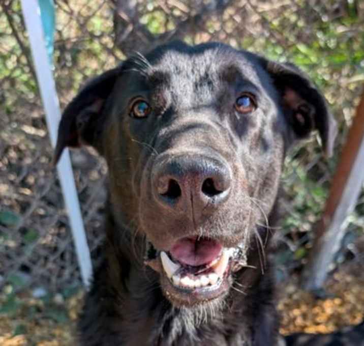 Photo of Sinatra