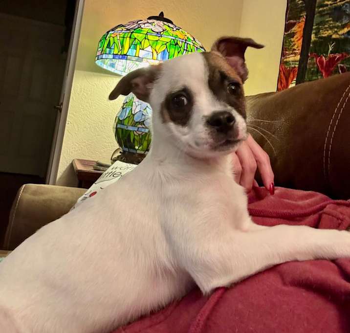 Photo of Gunther