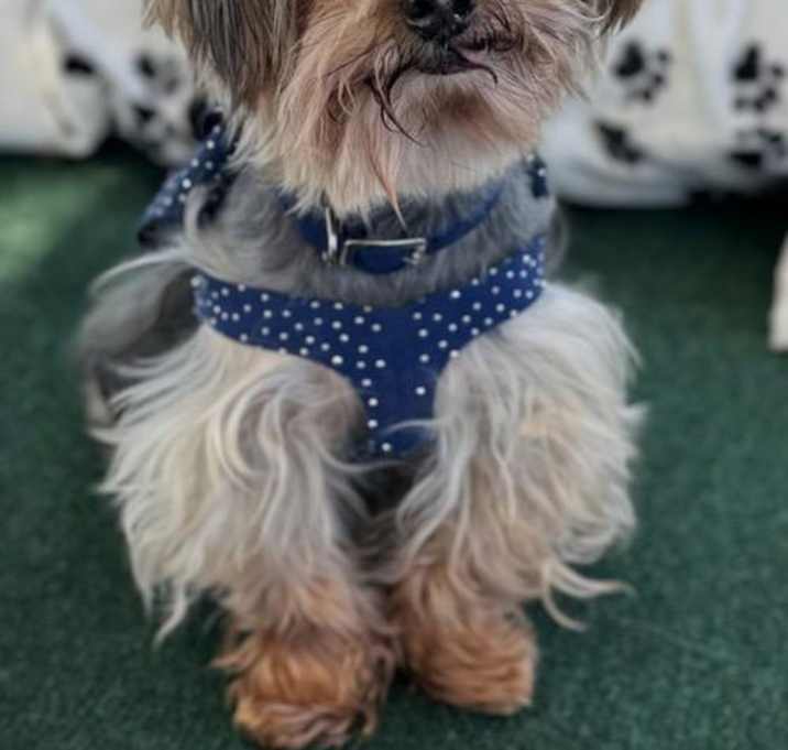 Photo of Larry