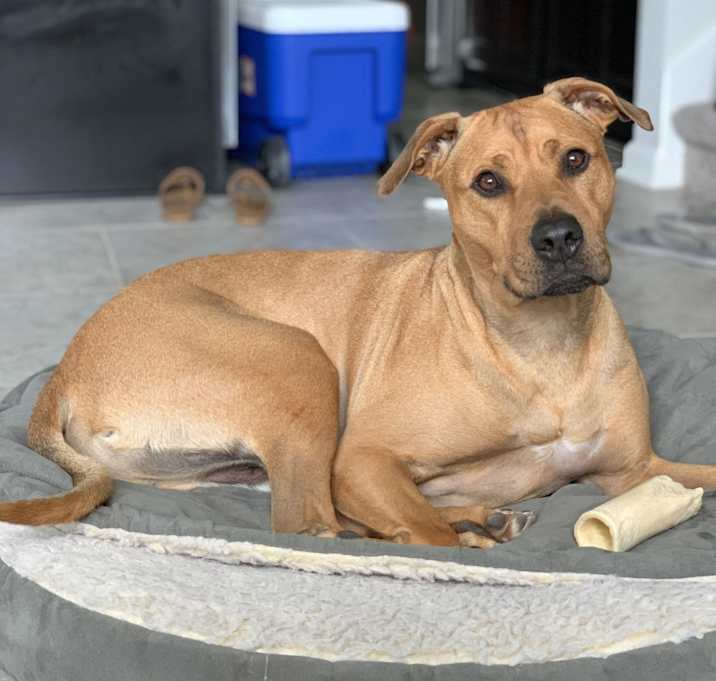 Photo of Tyson