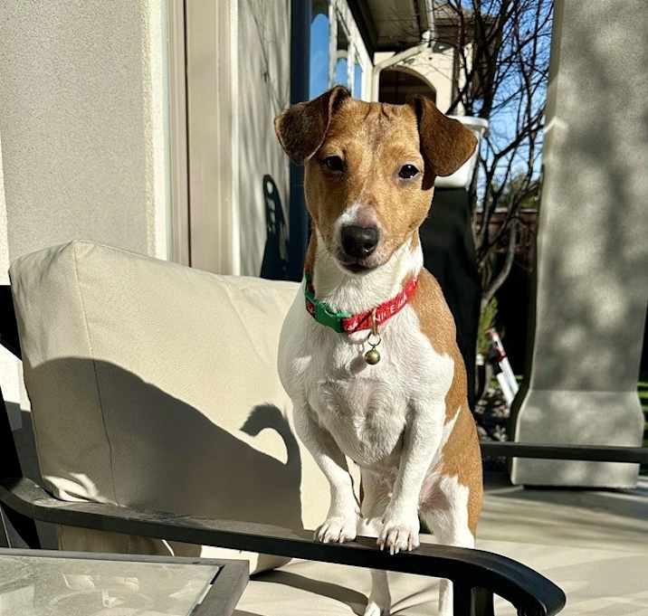 Photo of Akira