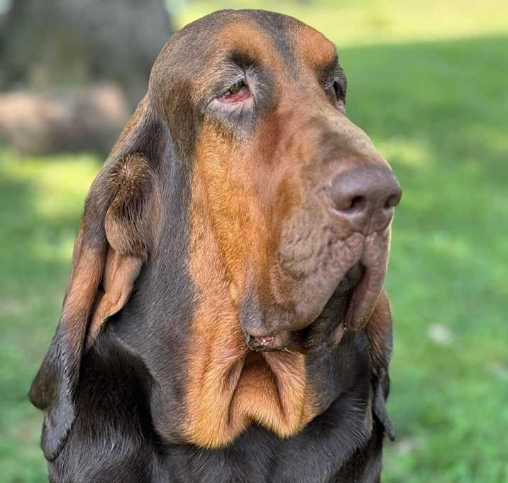 Photo of Tank