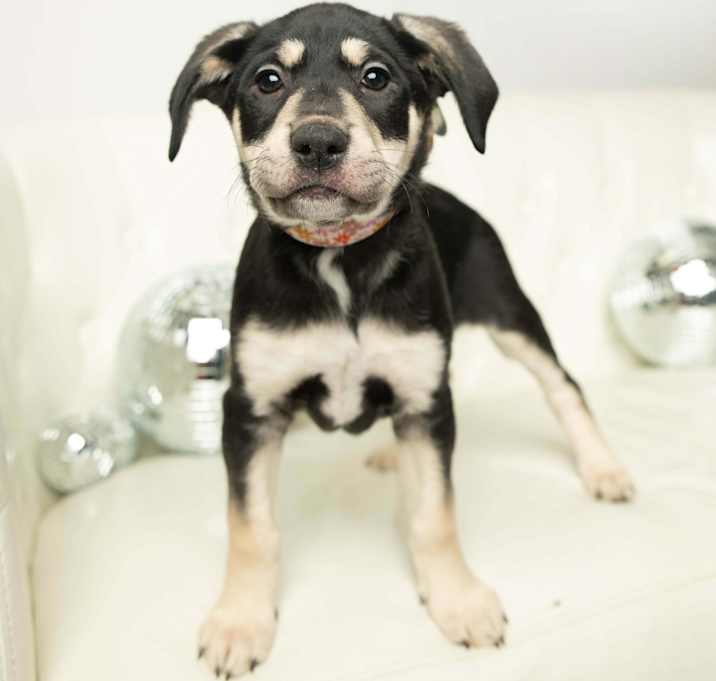 Photo of Delores - Pre Approval