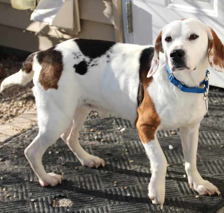 Photo of Oscar