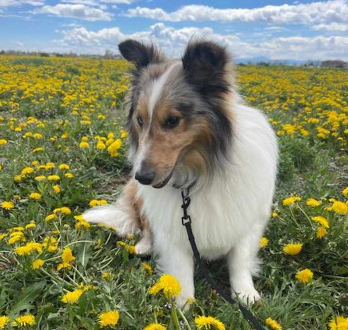 Photo of Gus