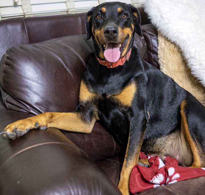Photo of Jolene