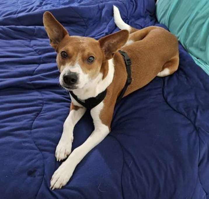 Photo of Pete