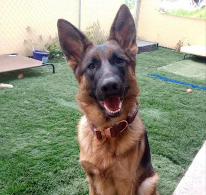 Photo of Athena