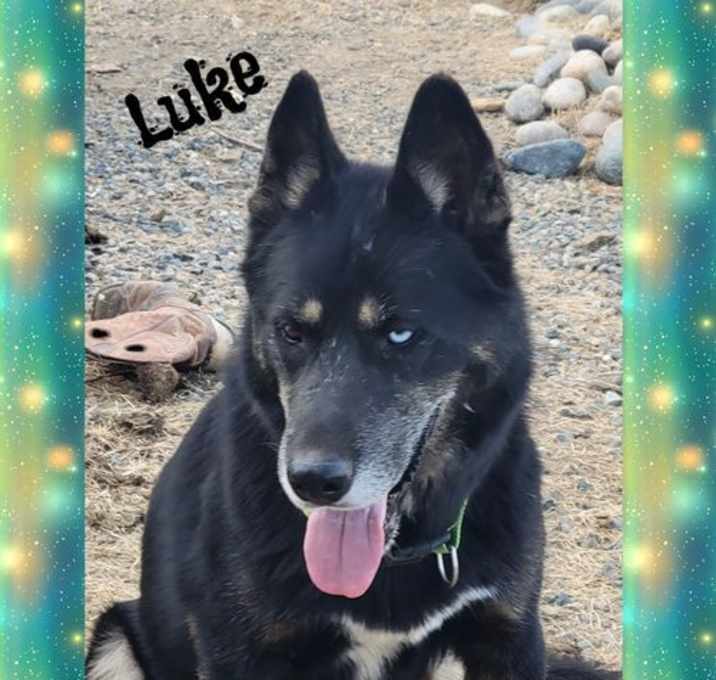 Photo of Luke