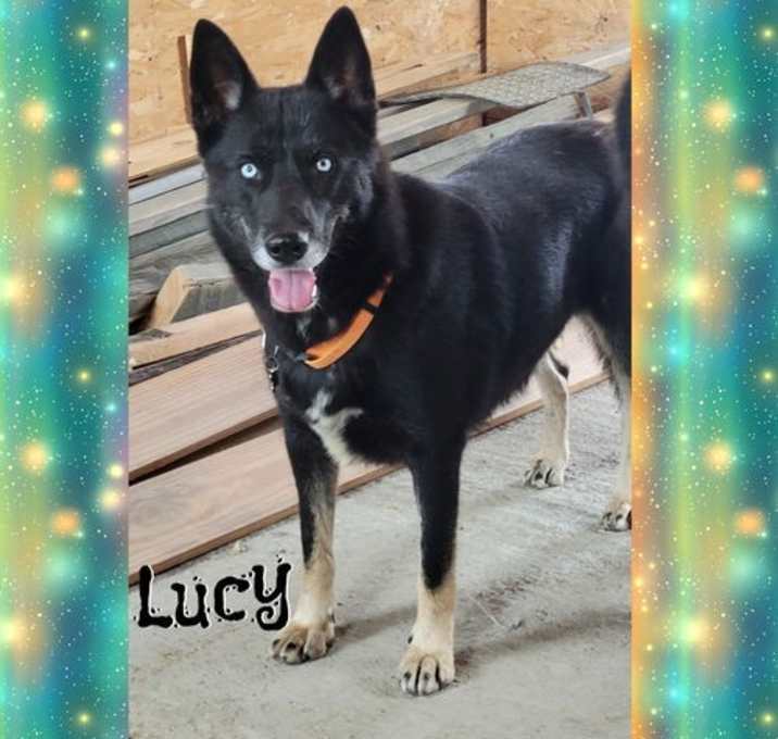 Photo of Lucy