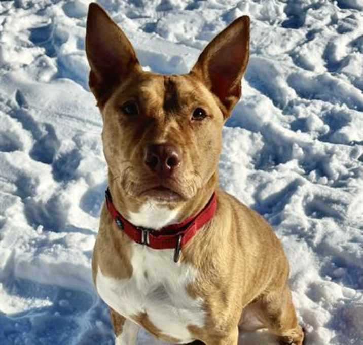 Photo of ESTRELLA