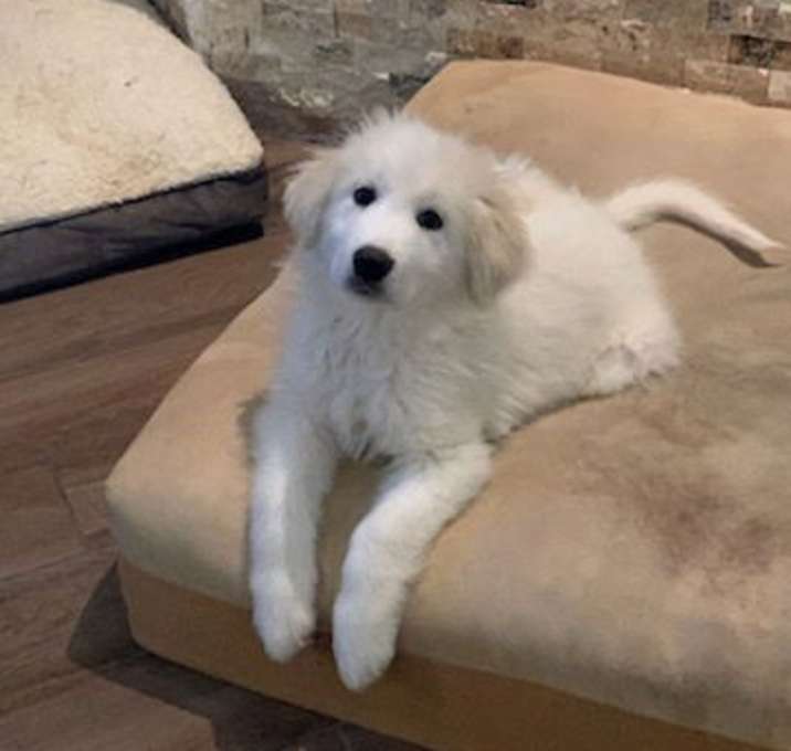 Photo of Maize (now Leia)