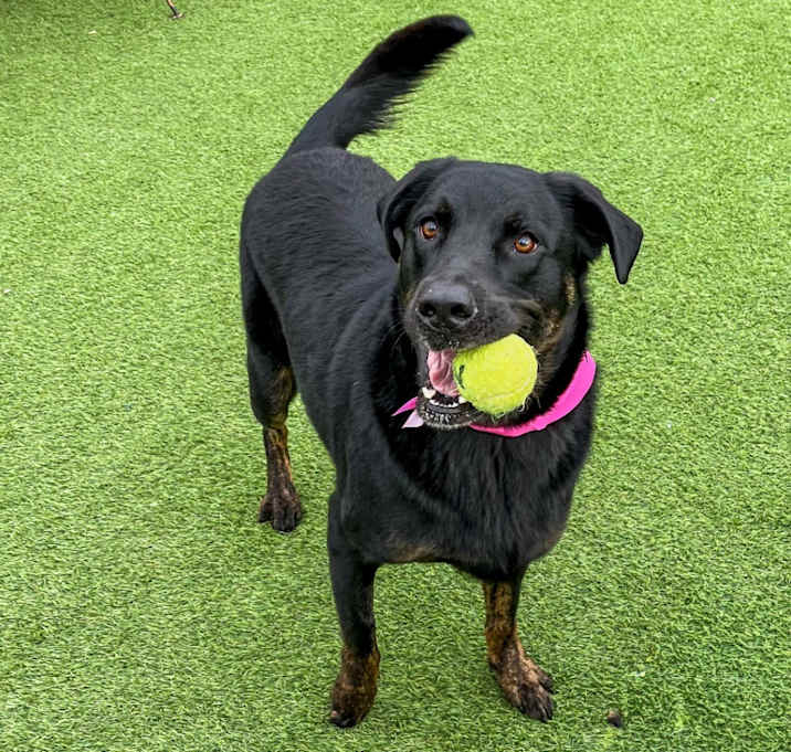 Photo of Zoe