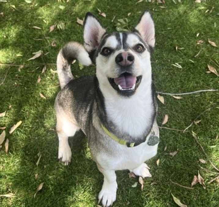 Photo of Oscar