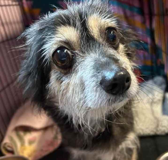 Photo of ROCKIE