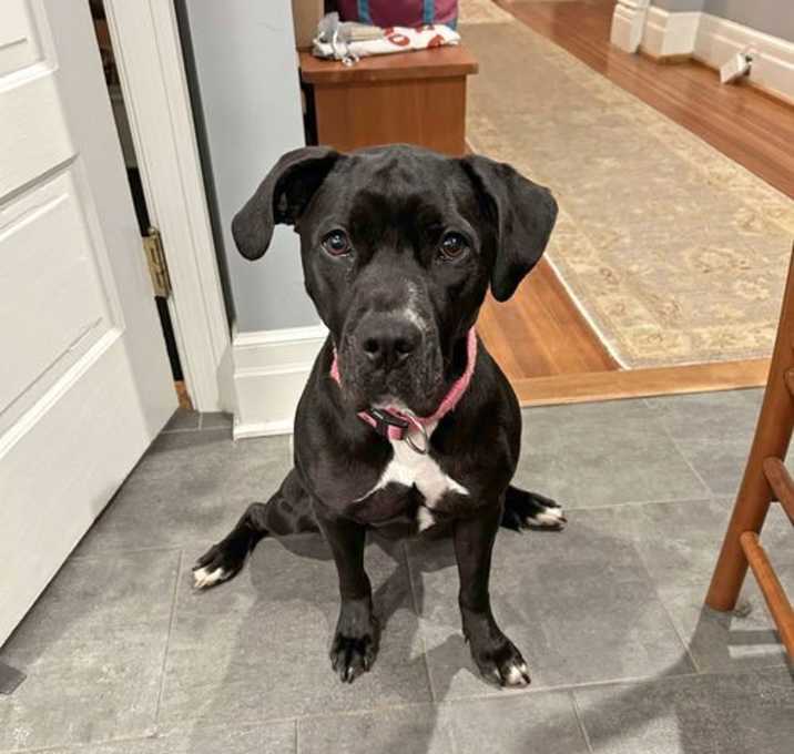 Photo of Avery