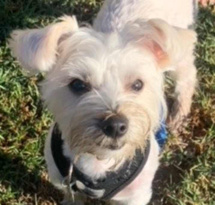 Photo of Wally