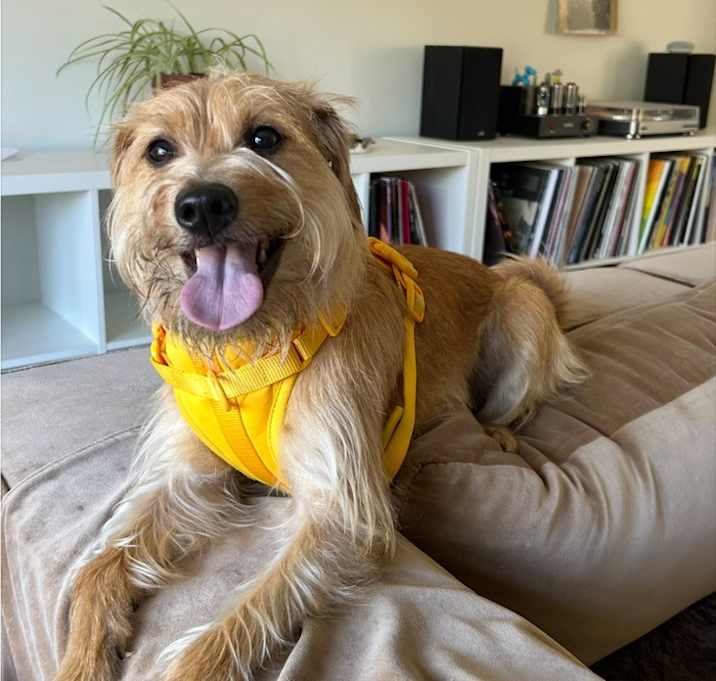 Photo of Phoebe