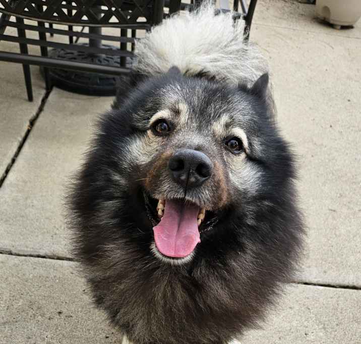 Photo of Teddy