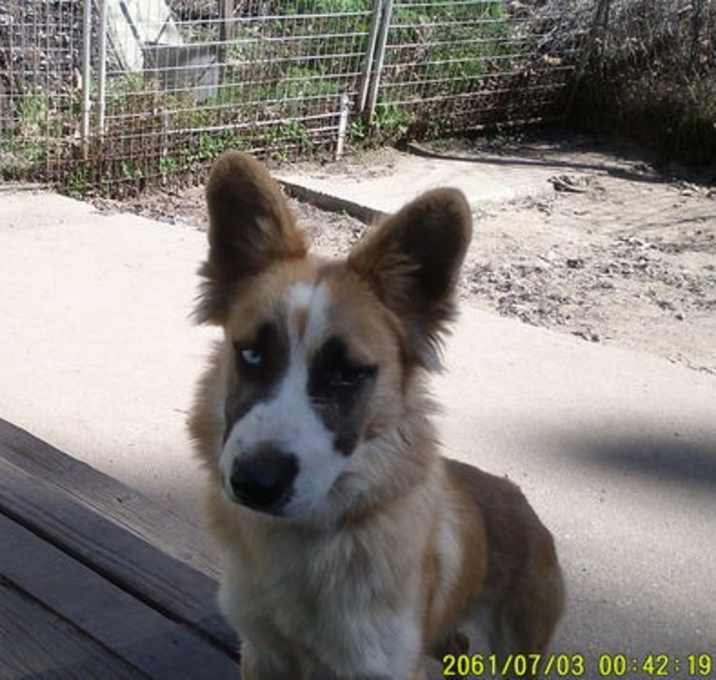 Photo of Linga