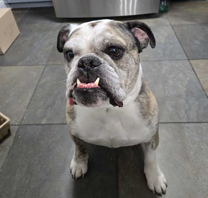 Photo of Guiness