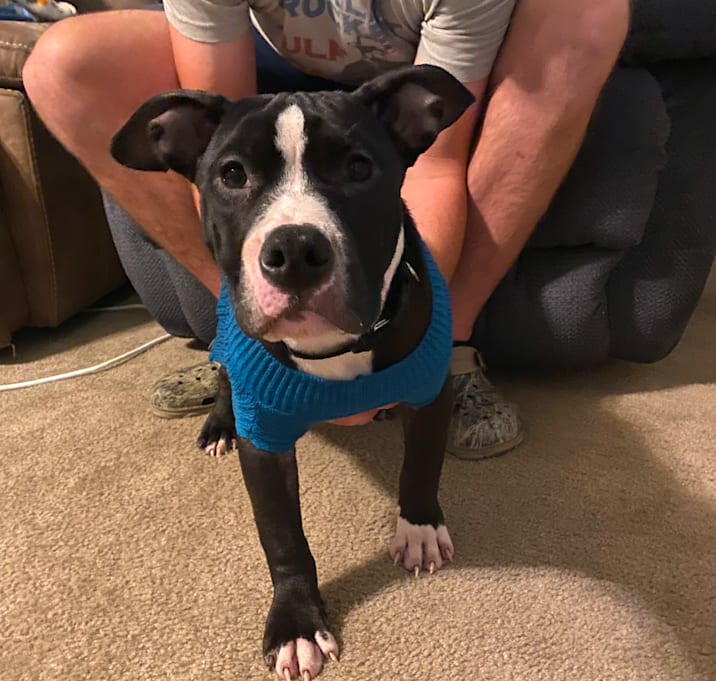 Photo of Waylon