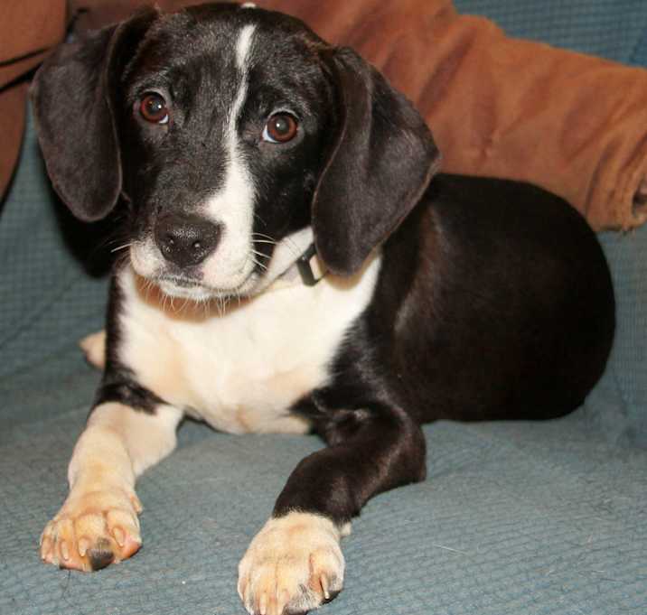Photo of Pippa