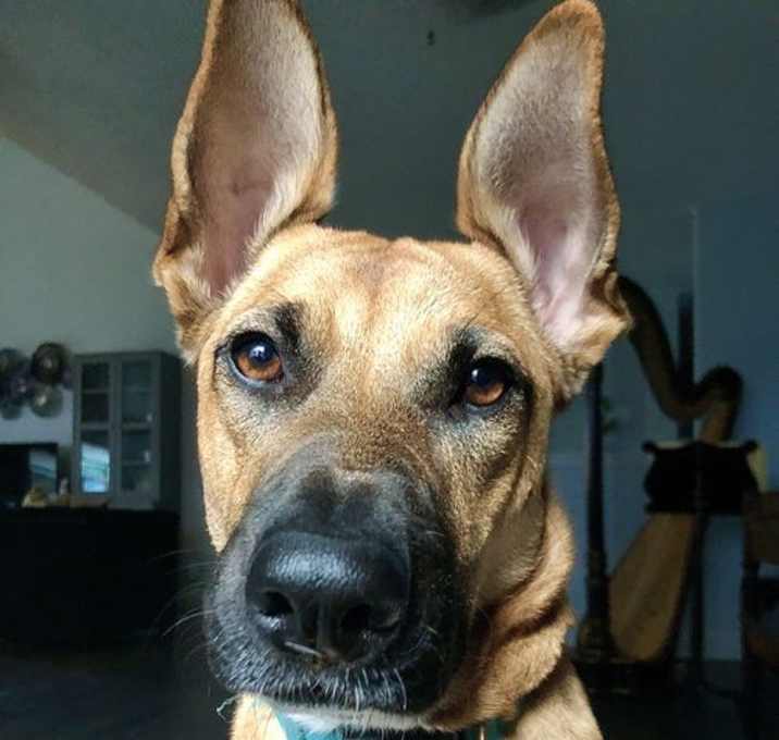Photo of Juniper (New Digs)