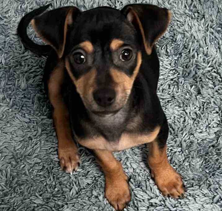 Photo of Simon