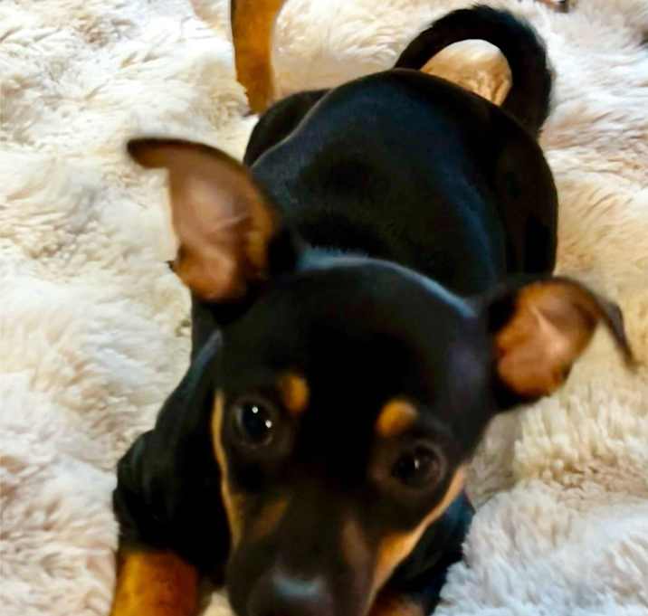 Photo of Theodore