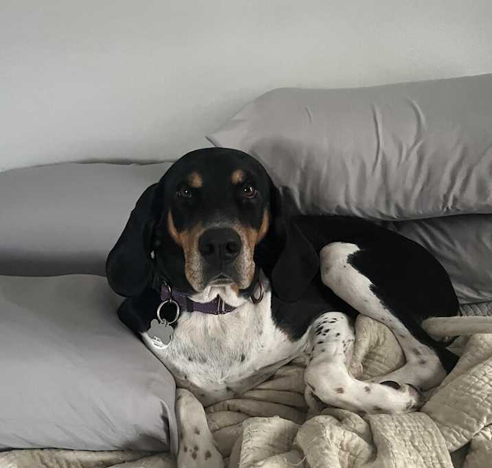 Photo of Winnie