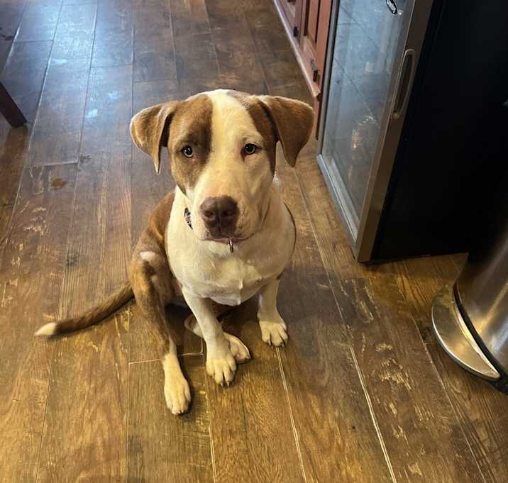 Photo of Thelma