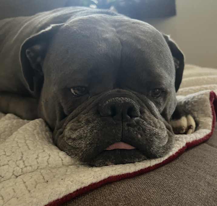 Photo of Blue