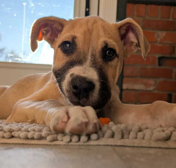 Photo of Spooky