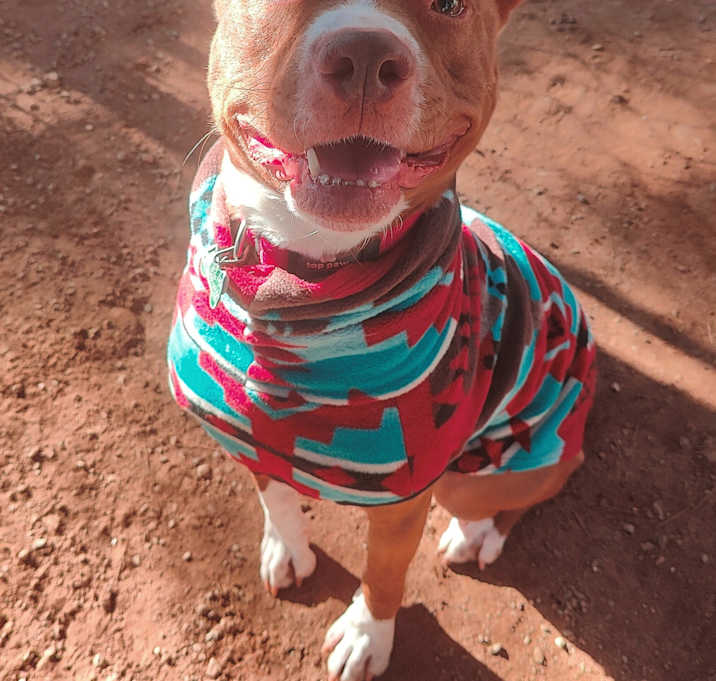 Photo of OTIS
