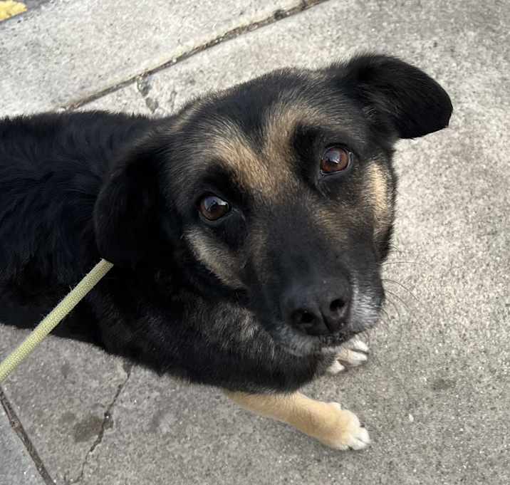 Photo of CHLOE
