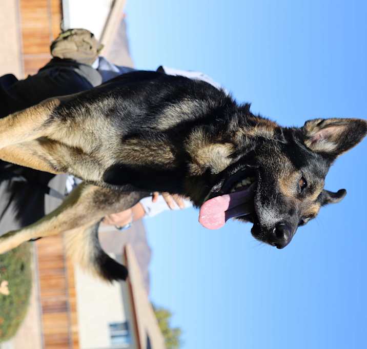Photo of MAX