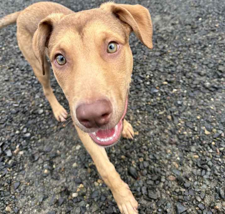 Photo of Monty