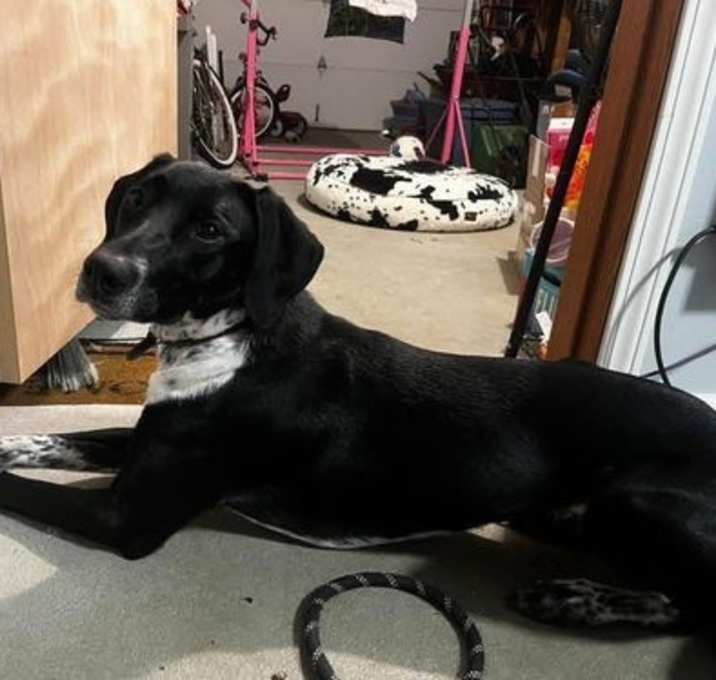 Photo of Miss Oreo