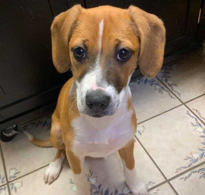 Photo of Sugar