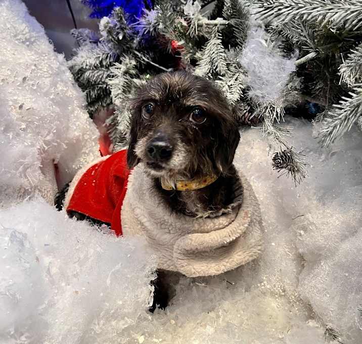 Photo of Winnie