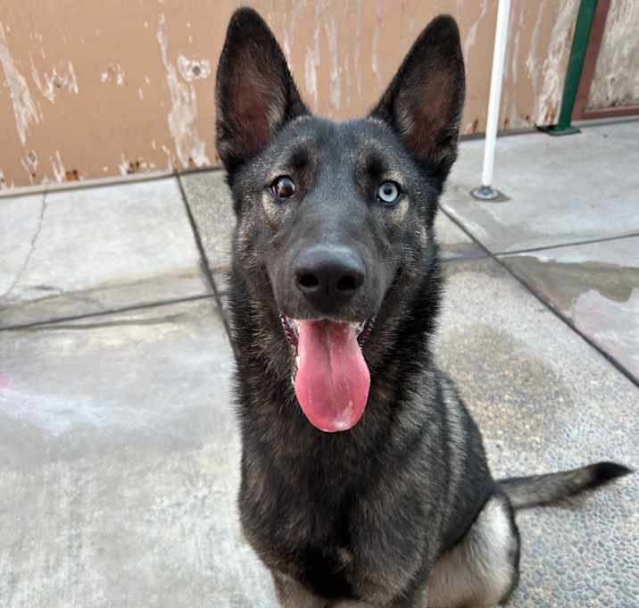 Photo of Zadie