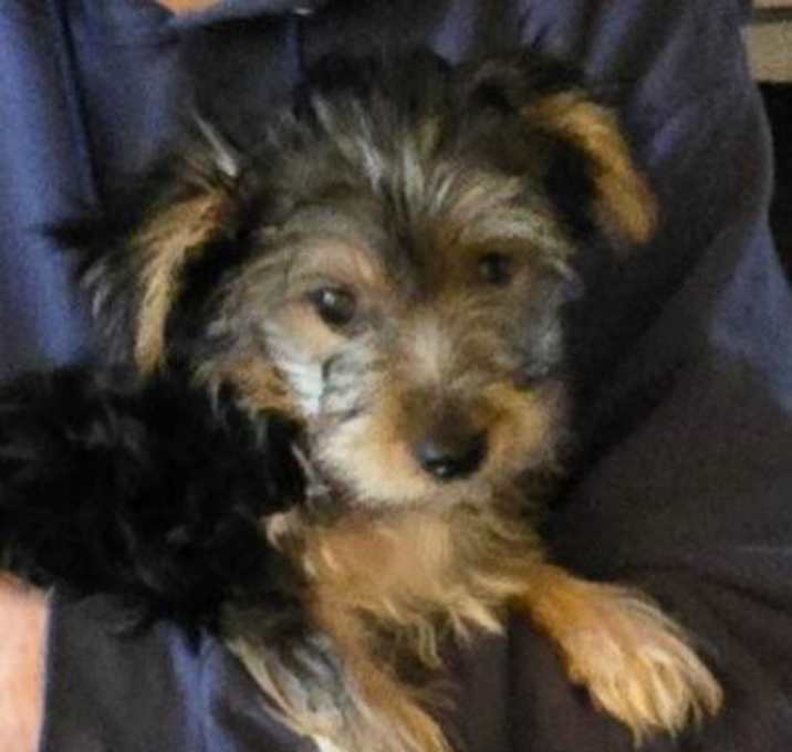 Photo of Rory