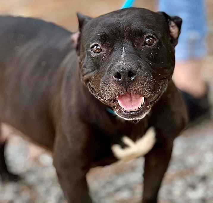 Photo of Pretty Girl