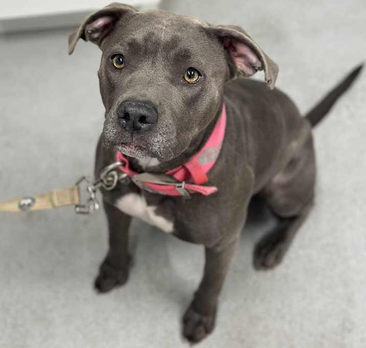 Photo of Missy