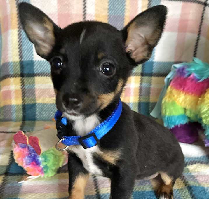 Photo of Benito