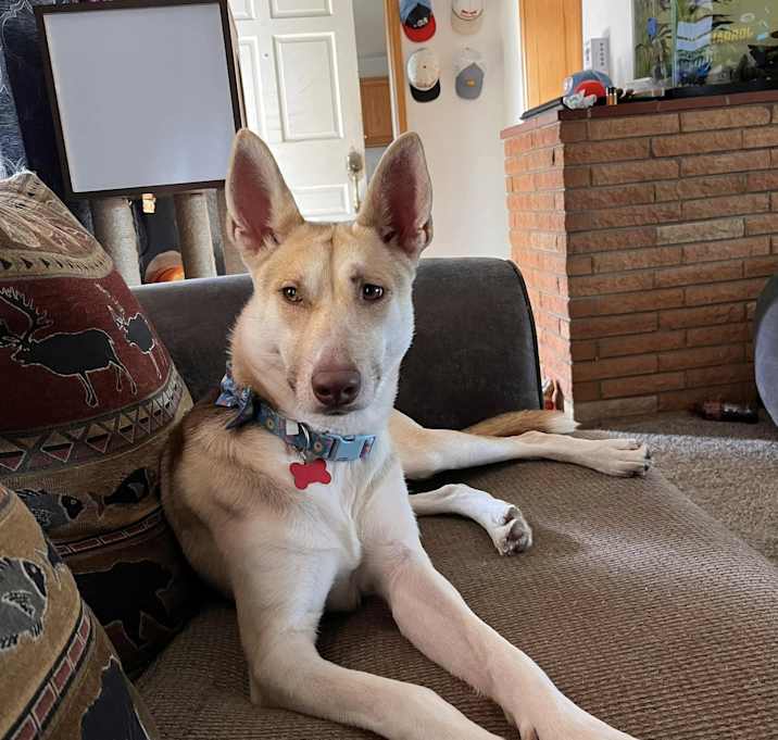 Photo of Faith